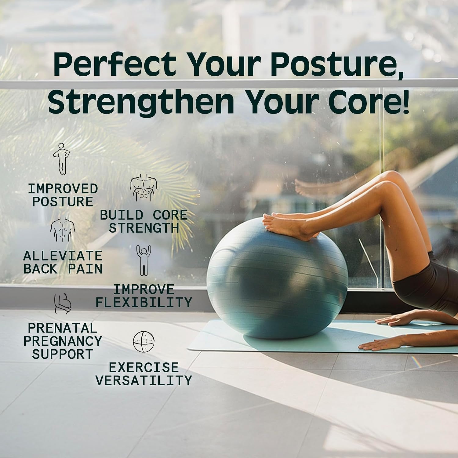 Anti‑Burst Swiss Exercise Ball with Pump